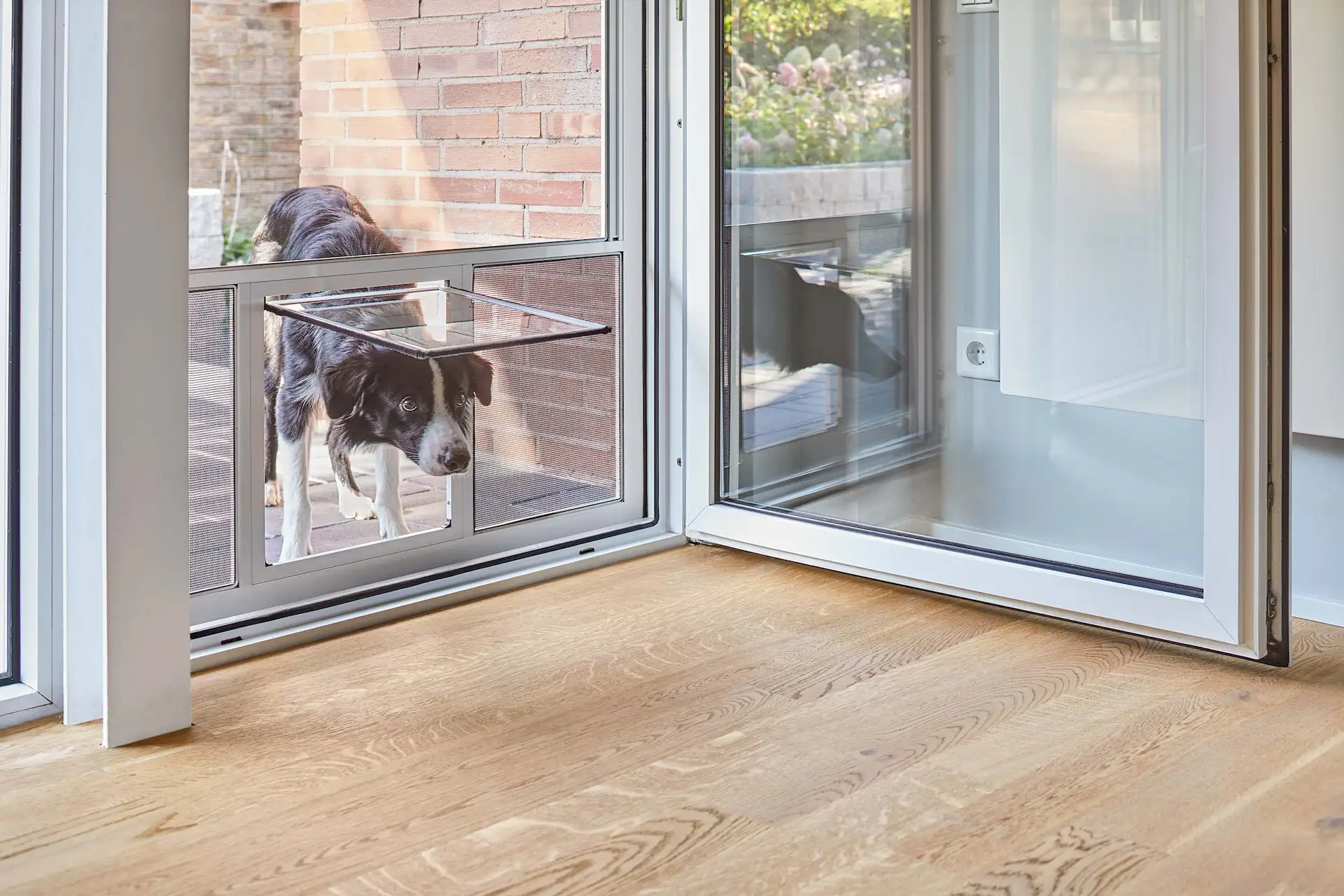 Insektenschutztür mit integrierter Tierklappe für Hunde und Katzen als komfortable Lösung für Tierliebhaber